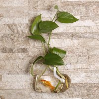 Heart Transparent Hanging Vase Plant Flower Glass Bottle Home Wedding Decor