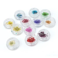 12 Colors/Set Mixed Dried Flowers Nail Beauty Art DIY Nail Art Tips Stickers